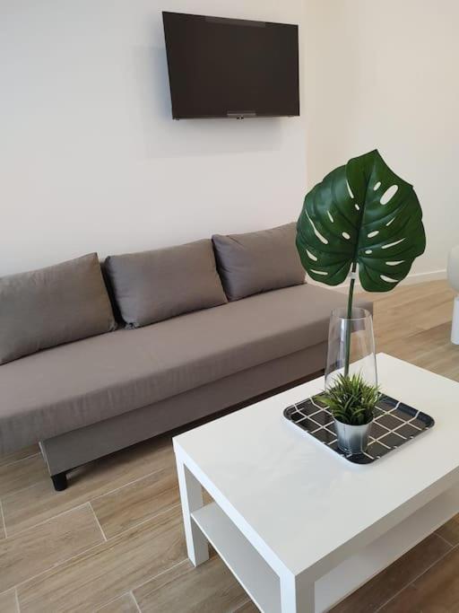 Apartament Nuevo Loft En Playa Y Cerca Del Centro, Ac Y Wifi Walencja Zewnętrze zdjęcie